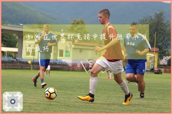 如何在世界杯竞猜中提升胜率和分析技巧