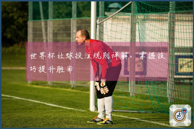 世界杯让球投注规则详解，掌握技巧提升胜率